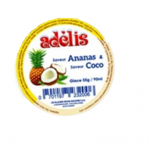 Glace Ananas/Coco en Pot 55g - ADELIS (Copie)