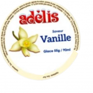 Glace Vanille en Pot 55g - ADELIS