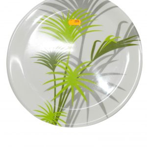Assiettes en Plastiques Rigides et Réutilisables – Image 12