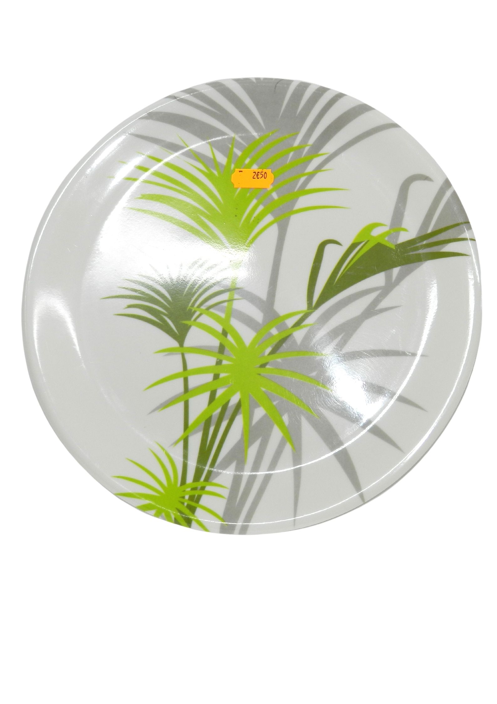 Assiettes en Plastiques Rigides et Réutilisables – Image 12