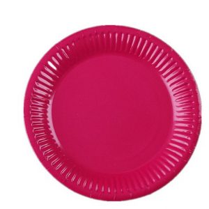 Assiettes en Cartons Jetables x6 – Image 4