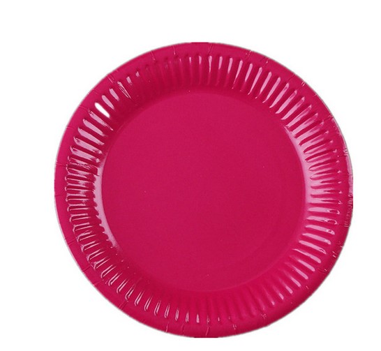 Assiettes en Cartons Jetables x6 – Image 4